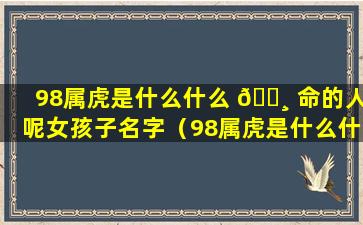 98属虎是什么什么 🕸 命的人呢女孩子名字（98属虎是什么什么命的人呢女孩子名字叫什么好）